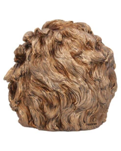 Albert Einstein Totenschädel 21cm -Halloween Serien Geschäft albert einstein totenkopf albert einstein totenschaedel albert einstein skull 54562 04