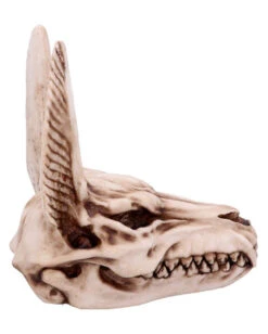 Anubis Totenschädel Figur 17cm -Halloween Serien Geschäft anubis totenkopf figur anubis totenschaedel figur anubis skull figurine 51020 04