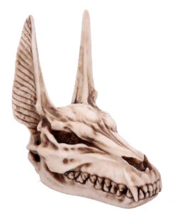 Anubis Totenschädel Figur 17cm -Halloween Serien Geschäft anubis totenkopf figur anubis totenschaedel figur anubis skull figurine 51020 05