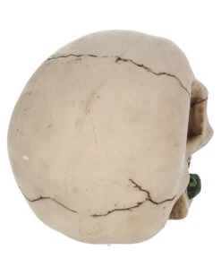 Beiger Totenschädel Mit Roter Rose 15cm -Halloween Serien Geschäft beiger totenkopf mit roter rose beiger totenschaedel mit roter rose antic skull with red rose 53389 05