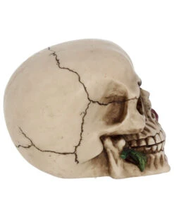 Beiger Totenschädel Mit Roter Rose 15cm -Halloween Serien Geschäft beiger totenkopf mit roter rose beiger totenschaedel mit roter rose antic skull with red rose 53389 06