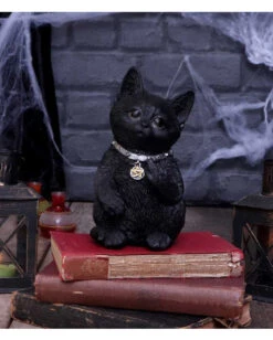 Freche Katze Zeigt Mittelfinger 16,5cm -Halloween Serien Geschäft cattitude katze zeigt mittelfinger cattitude cat showing middle finger gothic deko geschenkartikel 53939 7