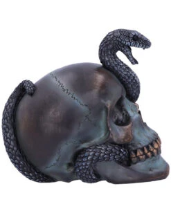 Schuppige Schlange In Totenkopf 19cm 9 Schuppige Schlange In Totenkopf 19cm -Halloween Serien Geschäft das schicksal der schlange gothic schaedel 19cm serpentine fate gothic snake skull gothic deko totenkopf 53993 4
