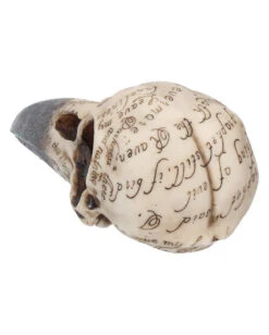 Edgar´s Raben Totenschädel -Halloween Serien Geschäft edgars raben skelettschaedel edgars raben totenschaedel edgars raven skull 39198 04