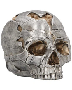 Fraktur Totenschädel 16cm -Halloween Serien Geschäft fracture totenkopf fracture totenschaedel fracture skull gothic deko 54583 06