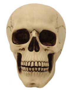 Graveyard Totenschädel Large -Halloween Serien Geschäft graveyard totenkopf large graveyard totenschaedel graveyard skull large gothic deko 52351 02