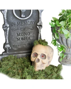 Halloween Deko Moos 100 G -Halloween Serien Geschäft halloween deko moos 100g halloween friedhof dekoration moos halloween decoration 28263