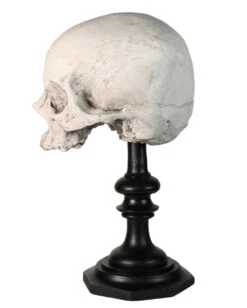 J. DOE Totenschädel Auf Sockel 20cm -Halloween Serien Geschäft j doe totenkopf auf sockel j doe totenschaedel auf sockel j doe skull plinth gothic homware 54857 02