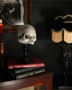 J. DOE Totenschädel Auf Sockel 20cm -Halloween Serien Geschäft j doe totenkopf auf sockel j doe totenschaedel auf sockel j doe skull plinth gothic homware 54857 05