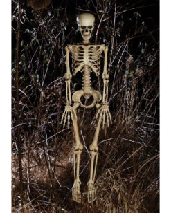 Bewegliches Knochenskelett 90cm -Halloween Serien Geschäft positionierbares knochenskelett halloween deko skelett mit beweglichen gelenken halloween und horror deko 52003 2