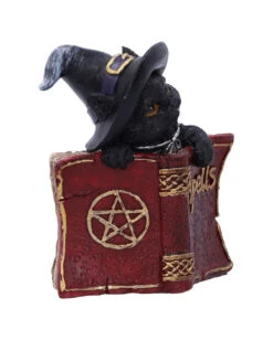 Schwarzes Hexenkätzchen Mit Rotem Zauberbuch 8,2cm -Halloween Serien Geschäft schwarze hexenkatze mit rotem zauberbuch black witchs cat familiar with red grimoire gothic deko und figuren 52417 3