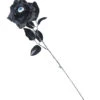 Gothic Rose Mit Auge