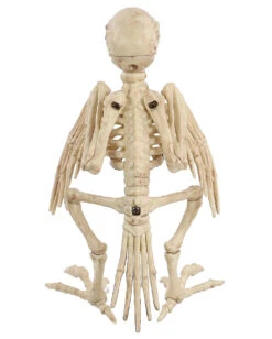 Papagei Skelett 19cm -Halloween Serien Geschäft skelett papagei skeleton parrot halloween dekoration 52638 04