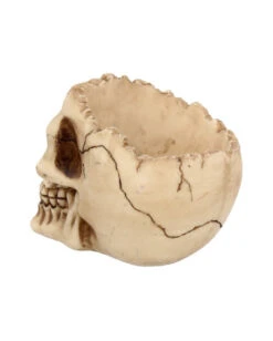 Realistische Totenschädel Schale Mit Offener Schädeldecke 9 Realistische Totenschädel Schale Mit Offener Schädeldecke -Halloween Serien Geschäft totenschaedel schale mit offener schaedeldecke realistic skull mug morbide gothic deko halloween deko totenschaedel 39289 5